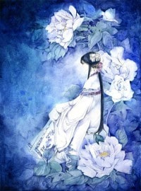 篮坛风云传奇